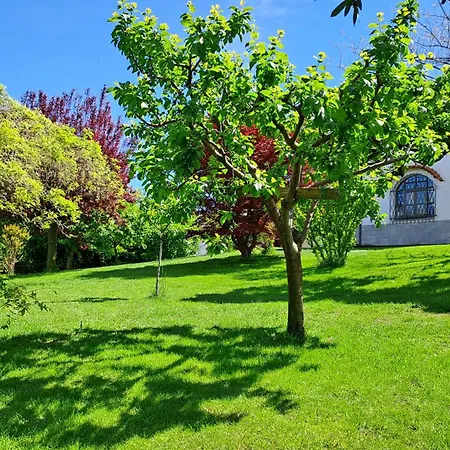 Casa Nonna Ada * Cisterna dʼAsti