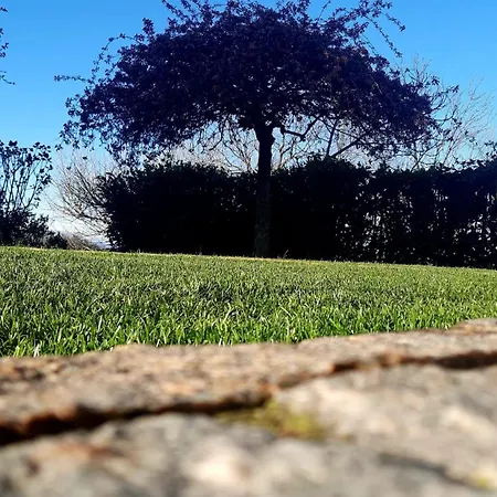 Casa Nonna Ada Cisterna dʼAsti