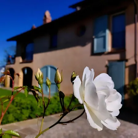 Casa Nonna Ada * Cisterna dʼAsti