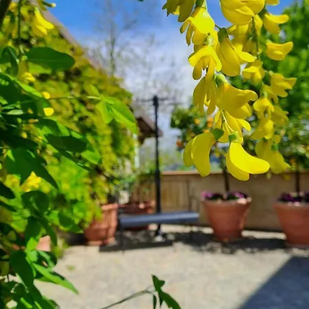 Casa Nonna Ada Cisterna dʼAsti